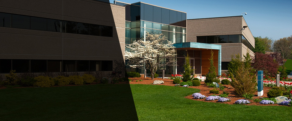 South Plainfield Landscapers