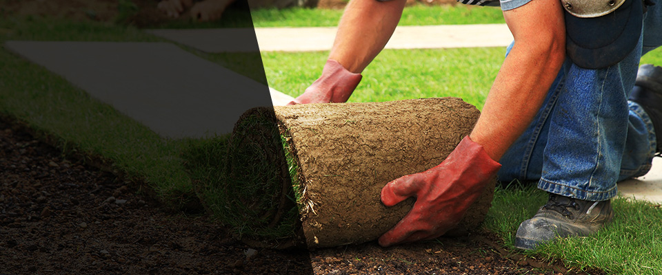 South Plainfield Landscapers